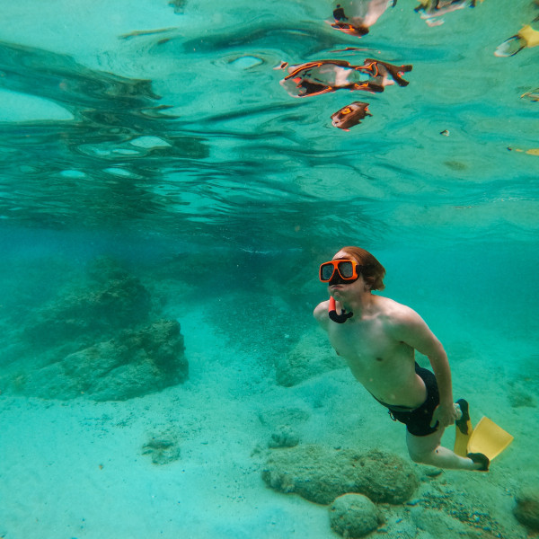 Superb Snorkeling in Turks & Caicos